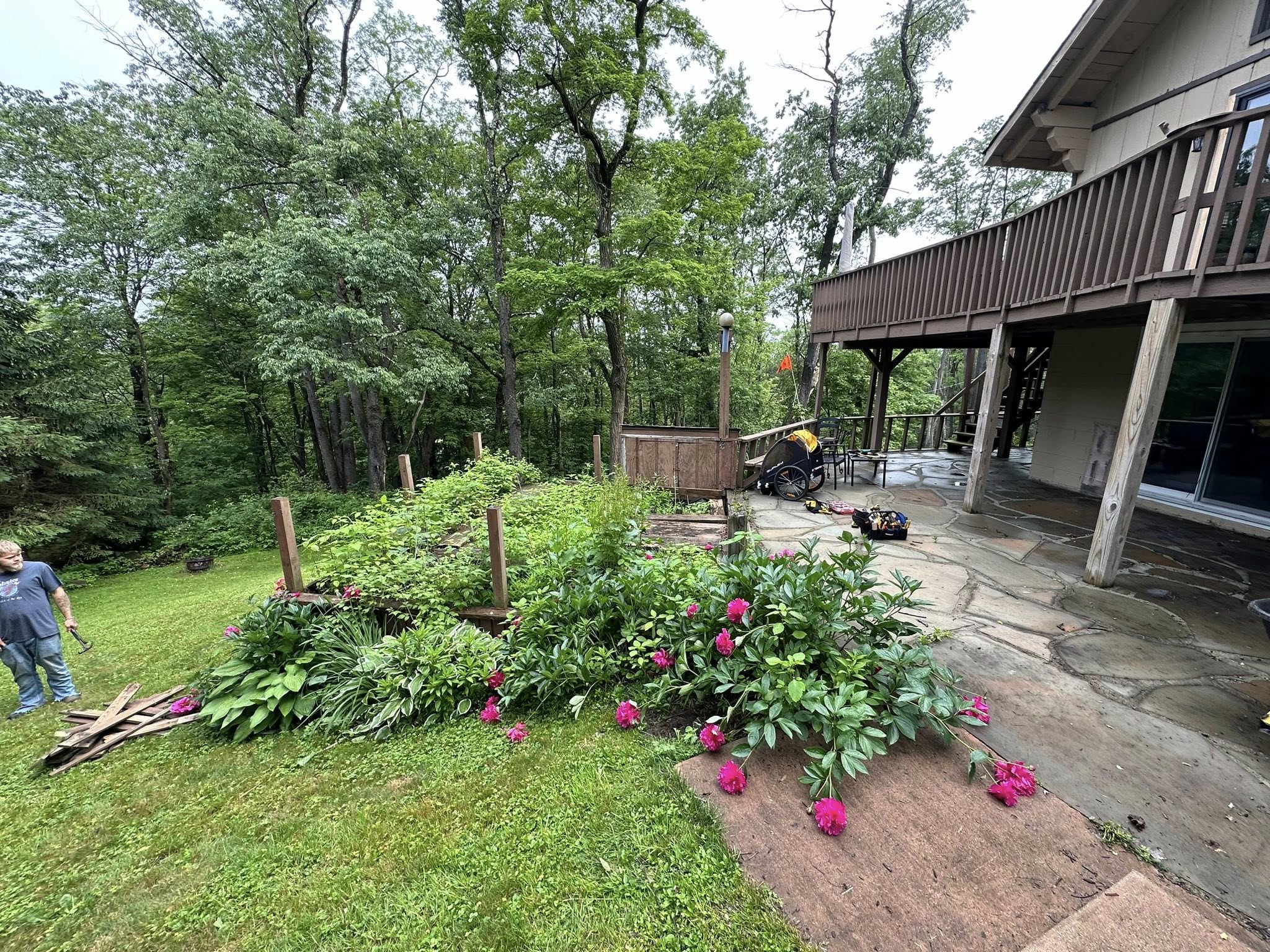 Area before cleanup